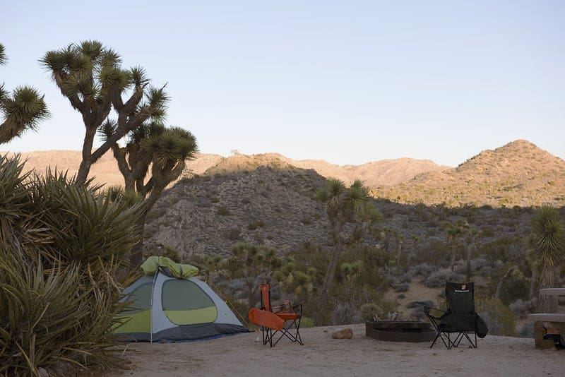 A tent pitched underneat a Joshua Tree with camp chairs around a fire ring at Black Rock Campground in Joshua Tree
