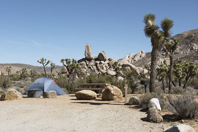 A tent pitched in a campsite at Ryan Campground in Joshua tree with rock formations and joshua trees in the background.