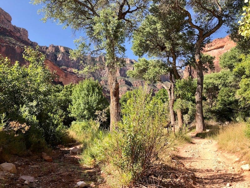 USA Hiking Bucket List - Indian Garden Campground, Grand Canyon Rim to Rim Hike