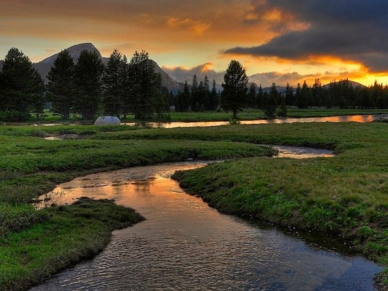 Creek running through Tuolumne Meadows at dusk.