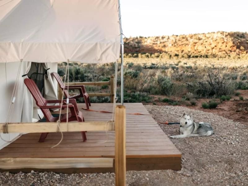 Zion Glamping Tent at Basecamp 37 with front deck, Adirondack chairs, and husky dog lying outside