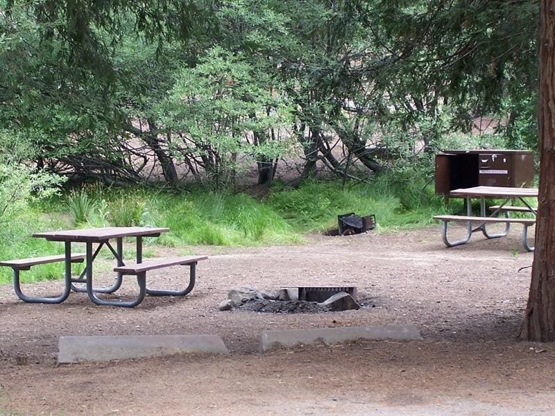 Shaded campsite with picnic table and fire ring in Azalea Campground in Kings Canyon - part of a Sequoia lodging guide