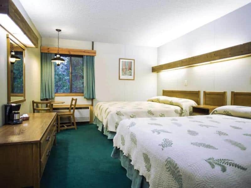 Spacious guest room with multiple beds covered in fern-patterned bedspreads and a wooden work desk at Cedar Grove Lodge in Sequoia National Park.