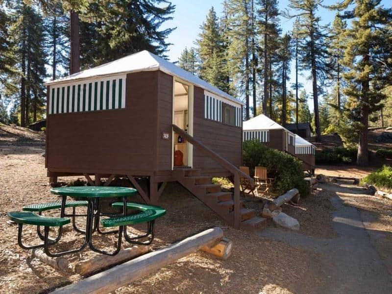 Exterior view of tent cabins at Grant Grove Cabins in Kings Canyon with green picnic tables, set among tall pine trees.