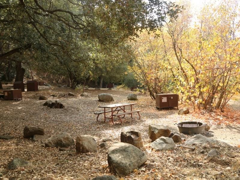 Shaded campsite in the Sequoia foothills with a picnic table, bear locker and fire ring. Part of a Sequoia lodging guide.