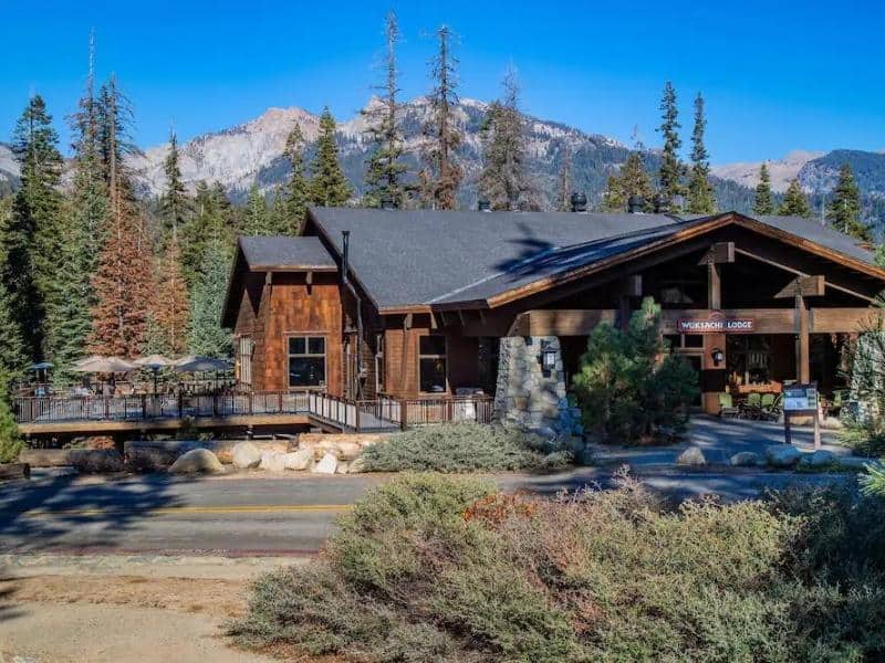 Front view of Wuksachi Lodge's main entrance with a wooden sign, nestled among tall pine trees in Sequoia National Park, under a clear blue sky.