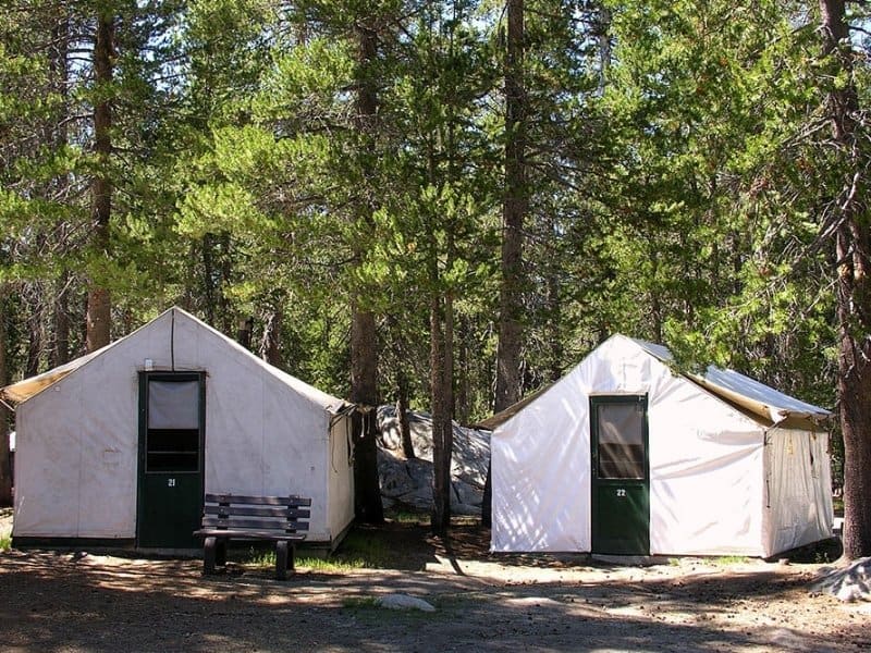 Shaded canvas tent cabins at White Wolf Lodge in Yosemite National Park