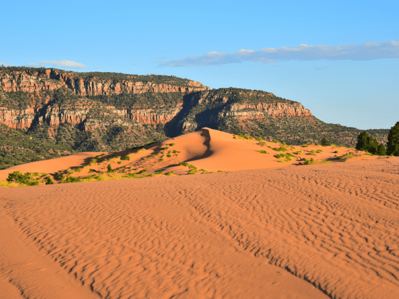 Patterns in the sand with a sand dune and red rocks in the background at Coral Pink Sand Dunes State Park in Utah