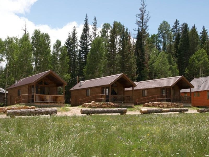 Exterior of several wood cabins at Kaibab Lodge with grassy meadow in front and pine forest in background