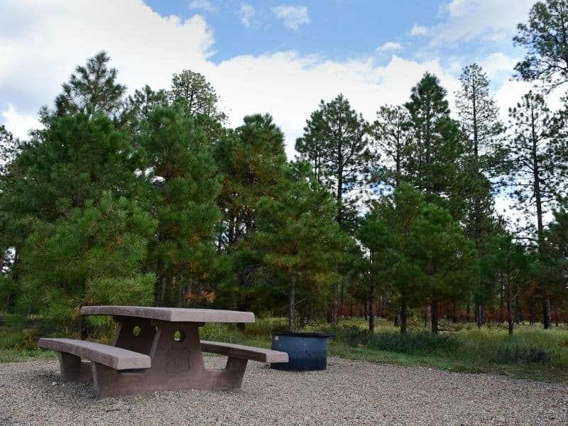 Campsite with picnic table and fire ring at Jacob Lake Campground in Kaibab National Forest near the Grand Canyon's North Rim