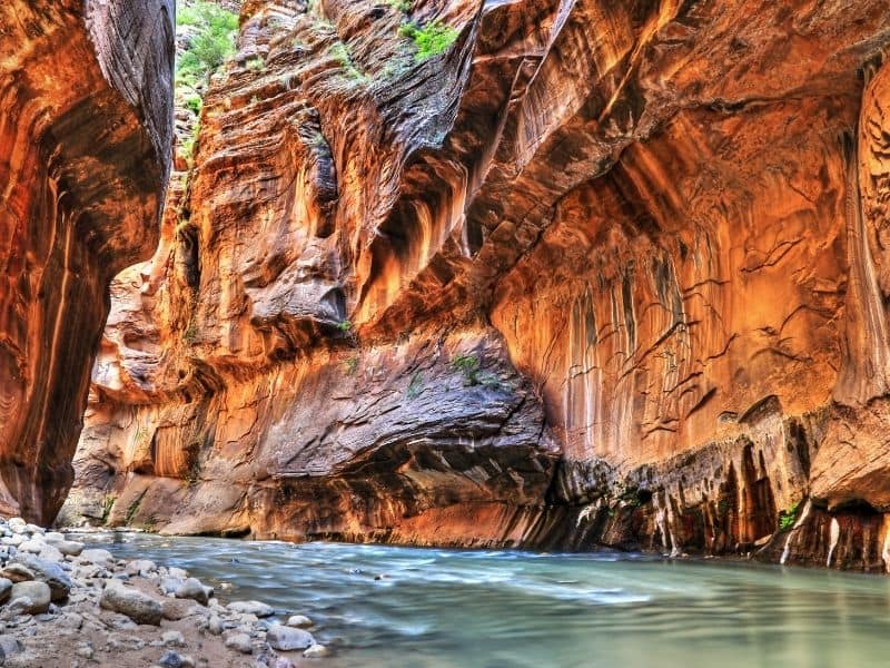 The Virgin River flowing through Zion National Park, Utah - the start of the iconic Narrows hike.