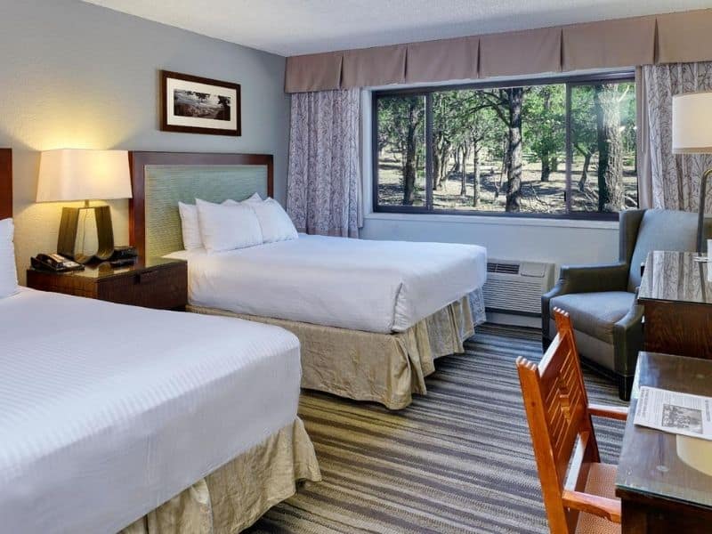 Queen guest suite at Yavapai Lodge near the Grand Canyon South Rim with pine forest views from the window