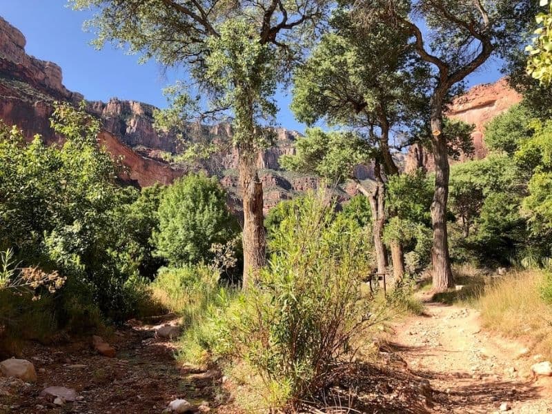 View of Grand Canyon from Indian Garden