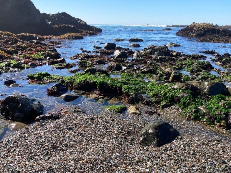 Glass Beach in Fort Bragg, CA - part of a San Francisco to Seattle road trip.