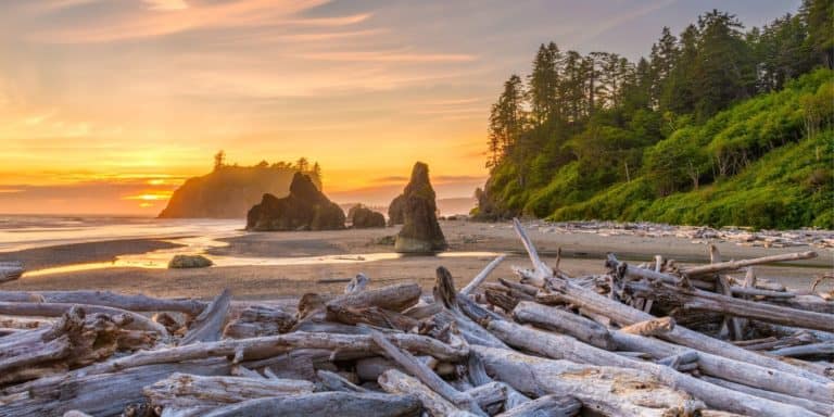 San Francisco to Seattle Road Trip 2024: Itinerary for Outdoor Lovers