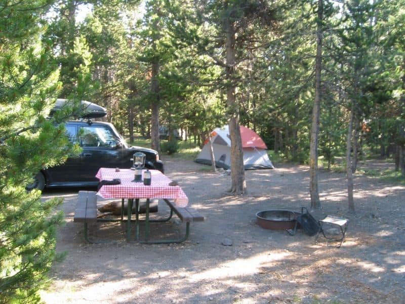 Shady tent campsite at Indian Creek Campground in Yellowstone with pitched tent, picnic table, and fire ring.