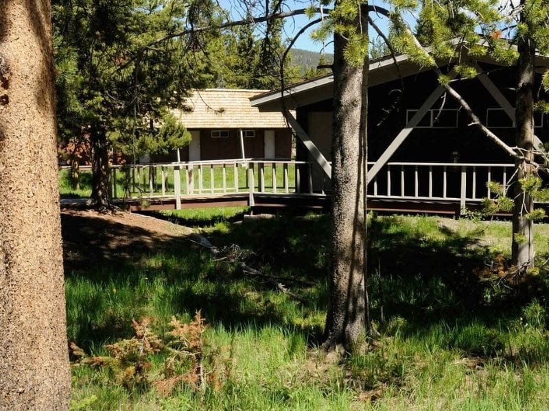 Rustic cabins surrounded by trees at Lake Lodge Cabins in Yellowstone National Park