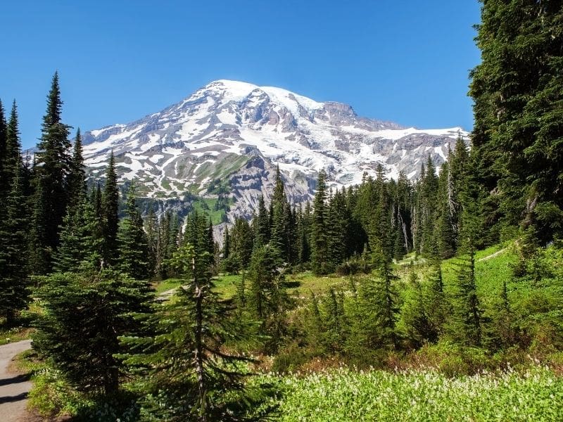 Mount Rainier National Park, WA. Popular inclusion on a San Francisco to Seattle road trip.