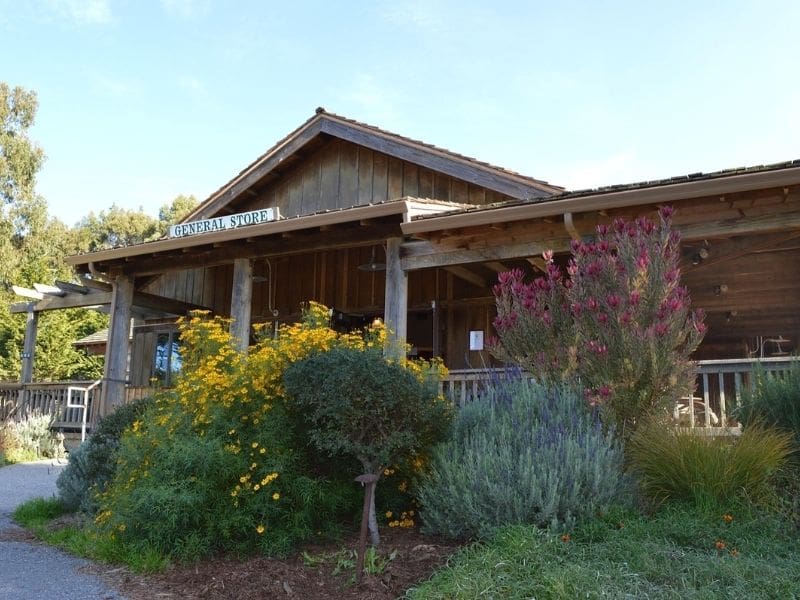 General Store at Costanoa Lodge and Camp