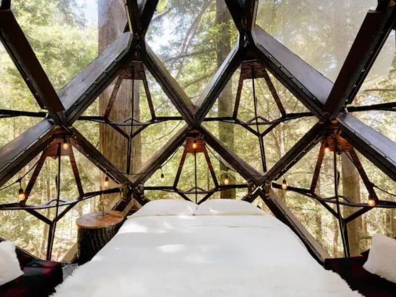 Bed in Pinecone treehouse Airbnb near San Francisco