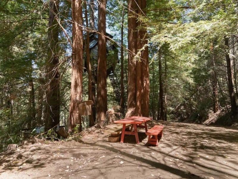 Picnic area at Pinecone Treehouse Airbnb