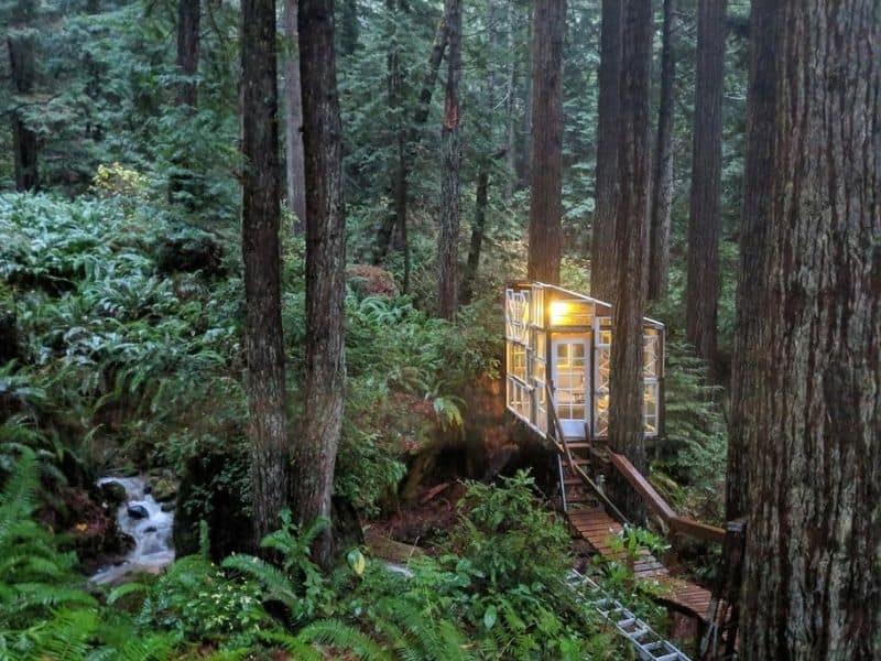 Cozy glass cabin in the Redwoods, Humboldt County
