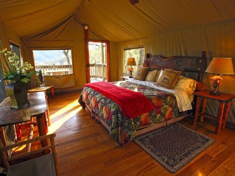 Interior of glamping tent at Safari West