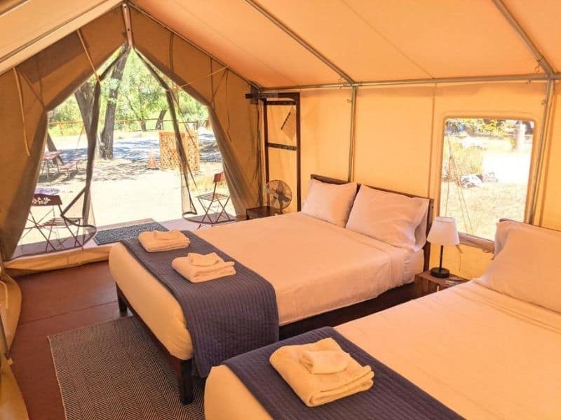 Inside of a glamping tent at Wildhaven Sonoma with 2 queen beds
