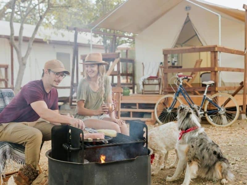 People sitting around a fire bbqing with 2 dogs at Wildhaven Sonoma