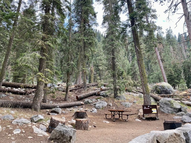 Sequoia National Park Lodging - Empty campsite at Lodgepole Campground