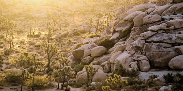 Boulders in Joshua Tree National Park CA