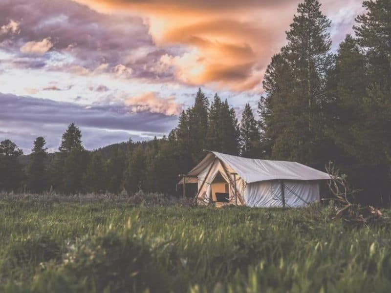 Twilight scene at Tammah Glamping with a solitary tent against a backdrop of dense forest and vibrant sky, featured in 'Best Yellowstone Glamping' blog post.