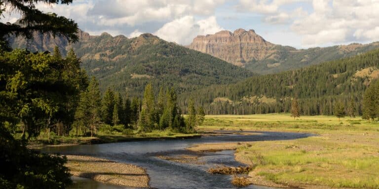 Lamer River flowing through valley in Yellowstone National Park