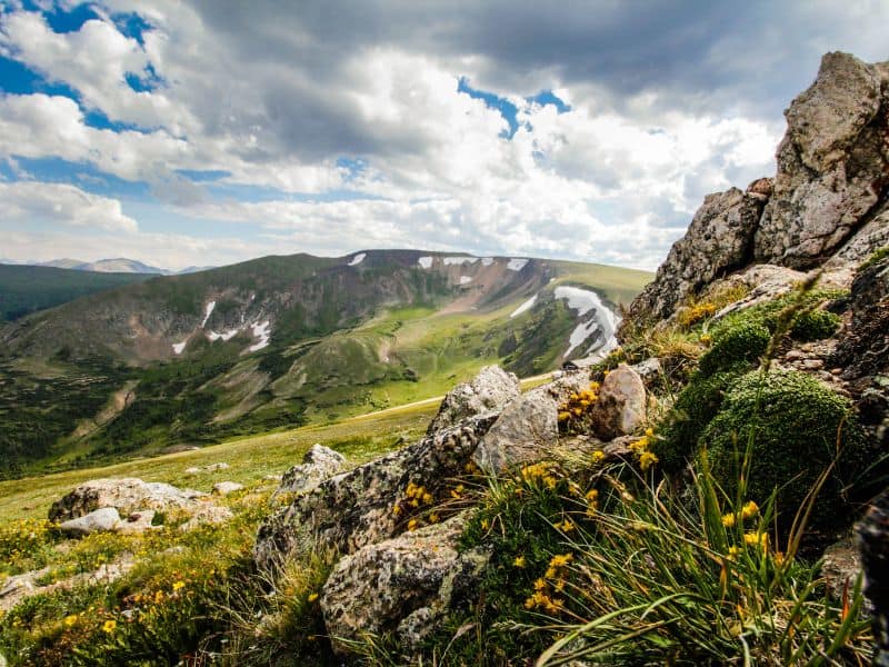 Mountain landscapes with wildflowers in Rocky Mountain National Park, CO - starting point for a Denver to Grand Canyon Road Trip