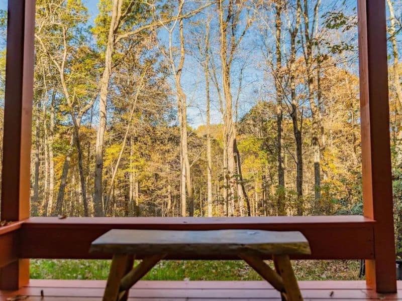 Wooded view from deck of Vrbo in Hocking Hills