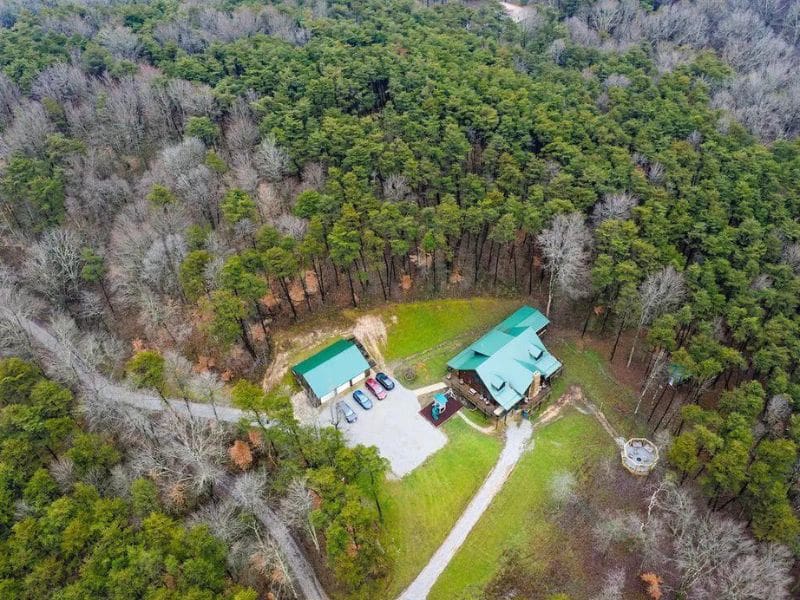 Aerial view of large cabin in the woods with green roof