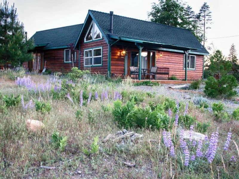 Exterior of simple wood cabin with green trim with wildflowers in the foreground near Yosemite - Yosemite Hilltop Cabin lodging