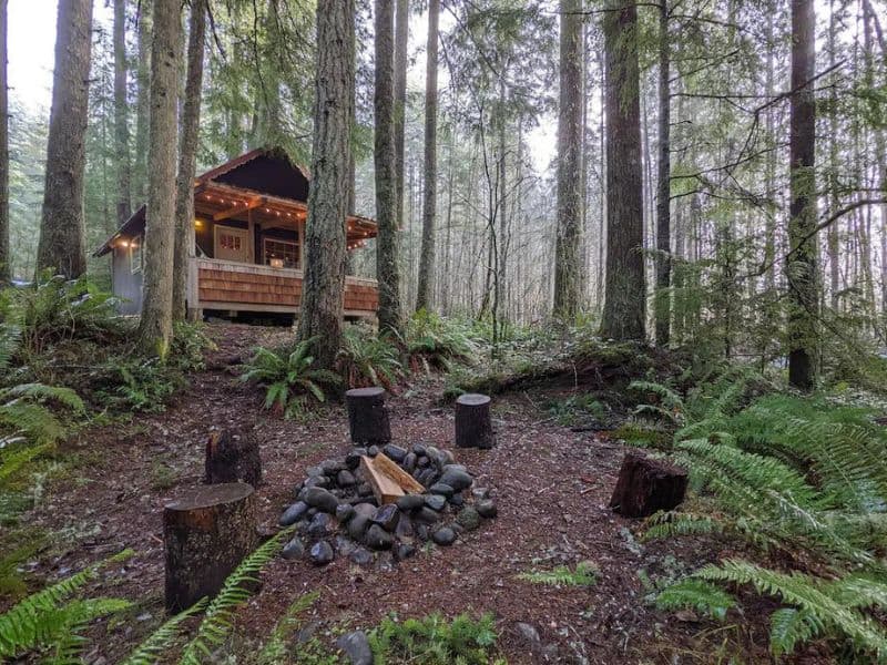Cozy cabin in a dense forest with fire pit and tree stump seating near Mt Rainier - part of a guide to the best cabins near Mount Rainier