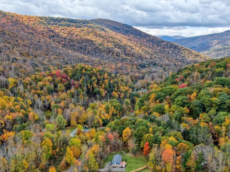 Expansive view of the colorful autumn foliage surrounding a secluded Catskills Vrbo rental.