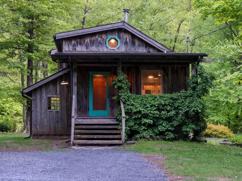 Front view of a Catskills Vrbo rental cabin, nestled among lush greenery, with a turquoise door and climbing ivy decorating its wooden exterior.