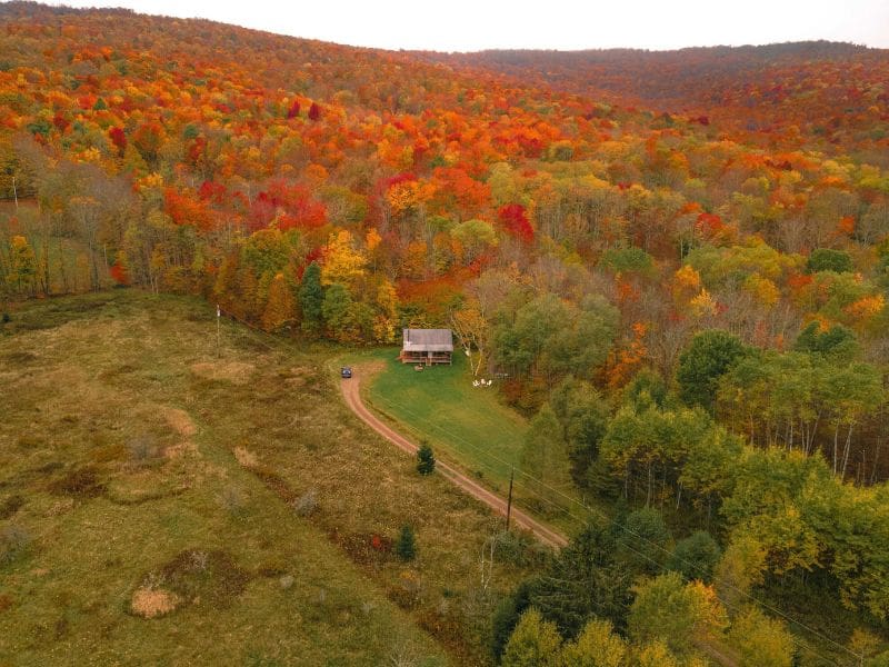 Aerial view of a cozy cabin in the Catskills surrounded by a autumnal forest, with a sprawling lawn leading up to the house.