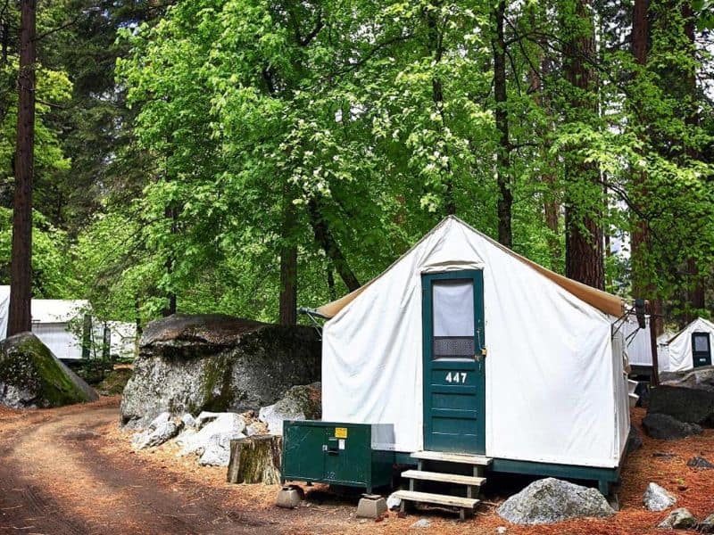 Canvas tent glamping at Curry Village in Yosemite Valley with number 447 on the door set among trees.