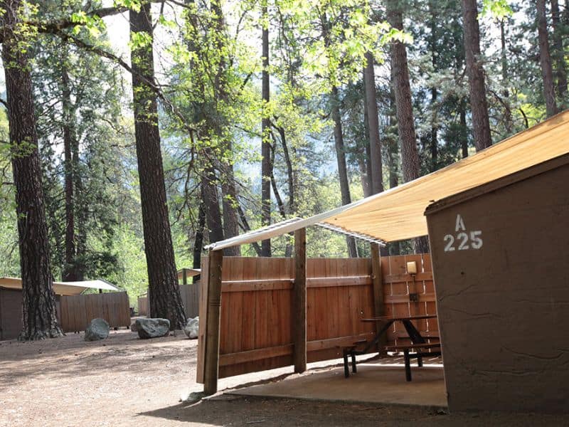 Housekeeping Camp unit A225 in Yosemite, framed by towering pines, providing a semi-outdoor lodging experience for park visitors.