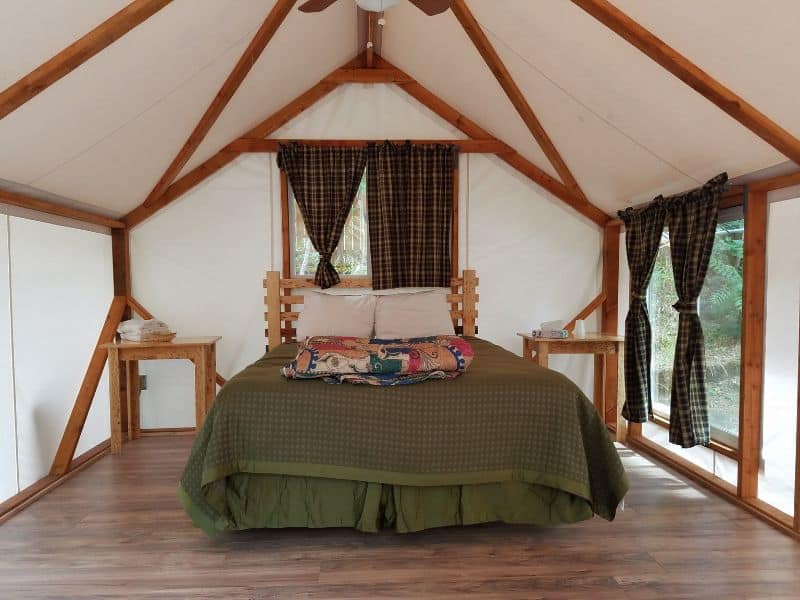 Inside view of a basic glamping tent cabin featuring a queen bed, wooden flooring, and large windows with forest views at Indian Flat Campground.