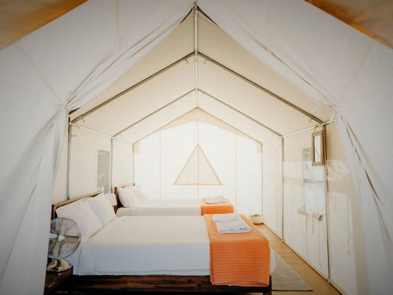 Spacious and comfortable glamping tent with a bed and fan at Wildhaven Yosemite.