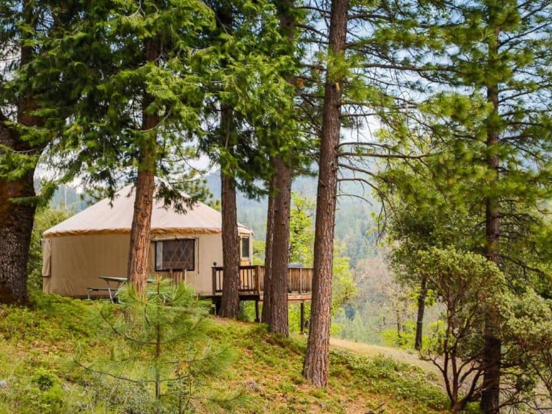 Yosemite glamping yurt nestled in a forested area, offering an authentic glamping experience with a scenic backdrop.