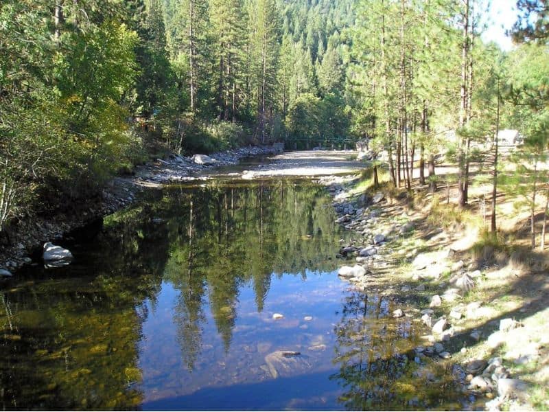 Reflective river surrounded by trees near Yosemite.