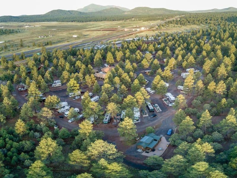 Aerial view of KOA Williams campground nestled among pine trees.
