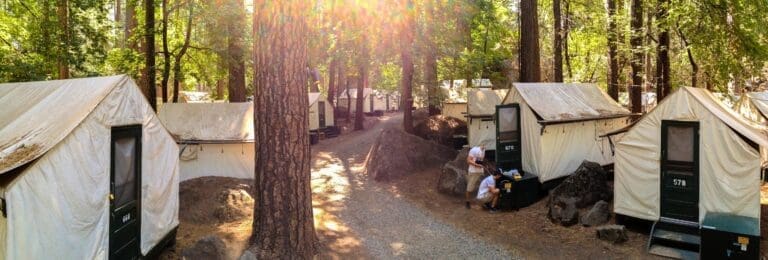 Panoramic view of Curry Village's canvas tent cabins nestled among trees. Basic glamping in Yosemite Valley, CA.