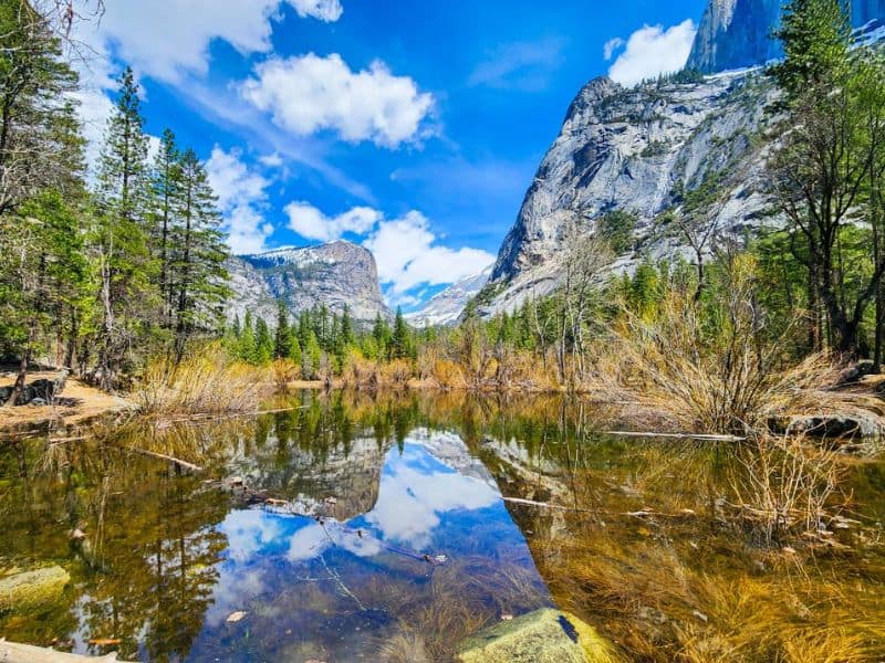 View of Yosemite Valley with clear blue skies, towering granite cliffs, and a reflective pond surrounded by trees and shrubs.